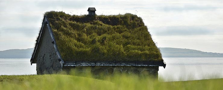 voordelen nadelen groendak